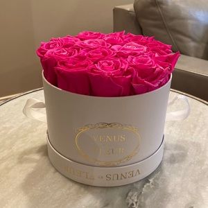 venus et fleur pink roses💖